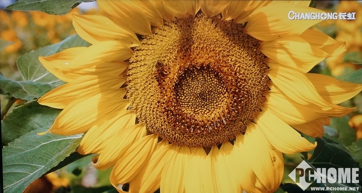 脱胎换骨之作 小米盒子3深度评测