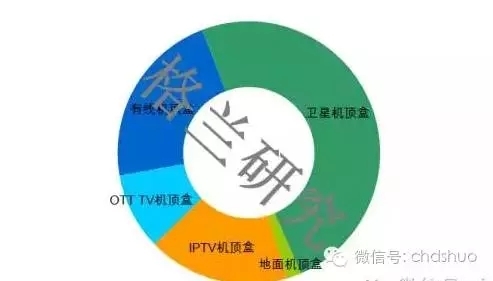 9.webp.jpg